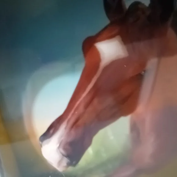 Breyer Adamek - Picture 2 of 4